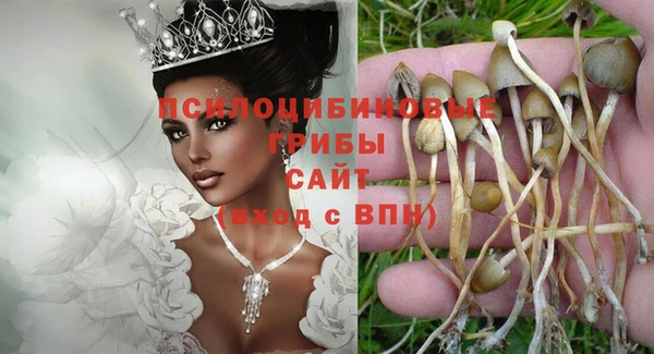 гашик Абаза