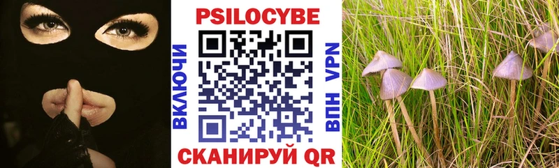 где можно купить наркотик Усть-Катав Галлюциногенные грибы MAGIC MUSHROOMS